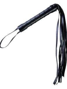 Latigo-econimico-1.jpg