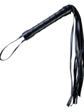 Latigo-econimico-1.jpg