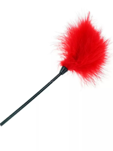 Pluma-Nican-Rojo.jpg