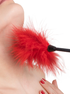 Pluma-Nican-Rojo-3.jpg