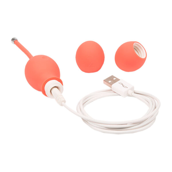 Bloom Bolas Kegel We Vibe - Imagen 8